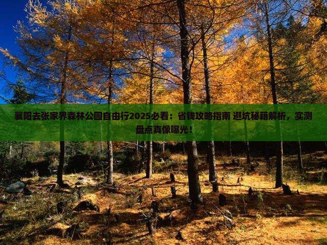 襄阳去张家界森林公园自由行