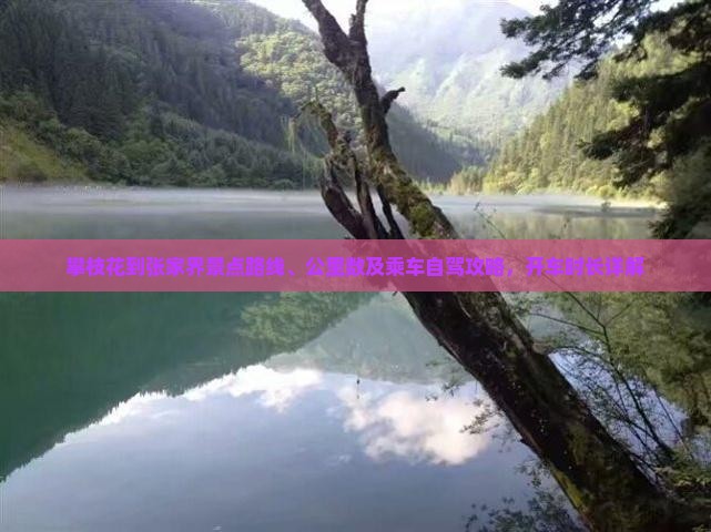 攀枝花到张家界景点
