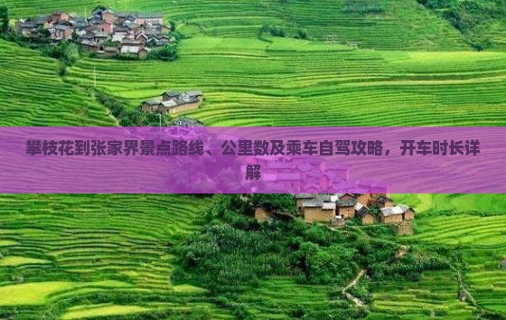 攀枝花到张家界景点