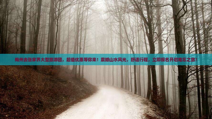 梅州去张家界大型旅游团