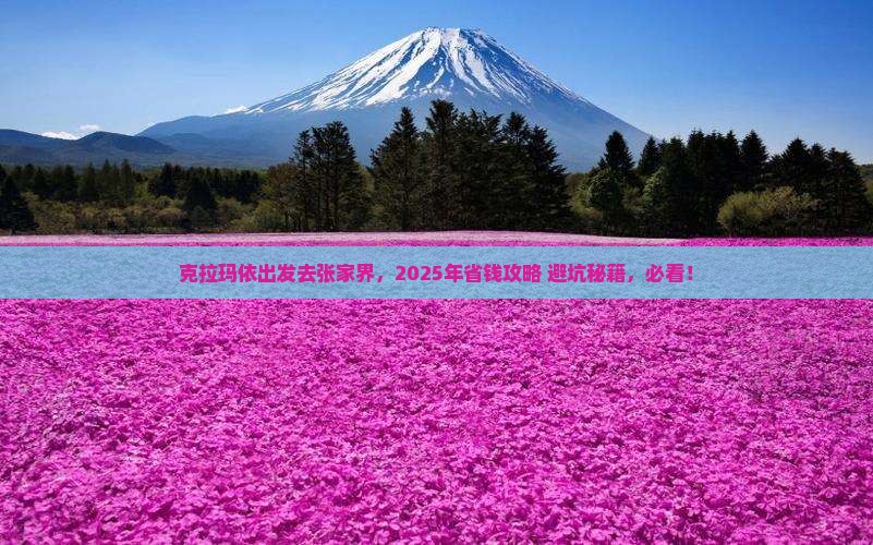 克拉玛依去张家界攻略