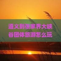 遵义到张家界大峡谷团体旅游