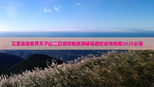 三亚去张家界天子山二日游