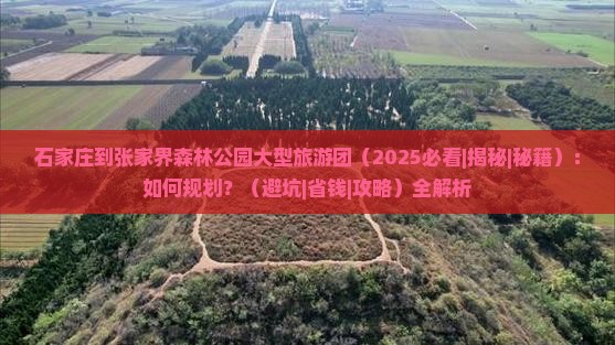 石家庄到张家界森林公园大型旅游团