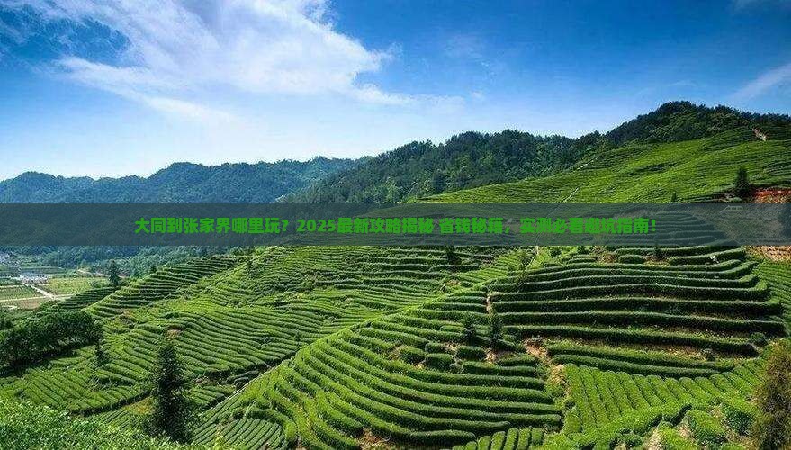 大同到张家界哪里玩