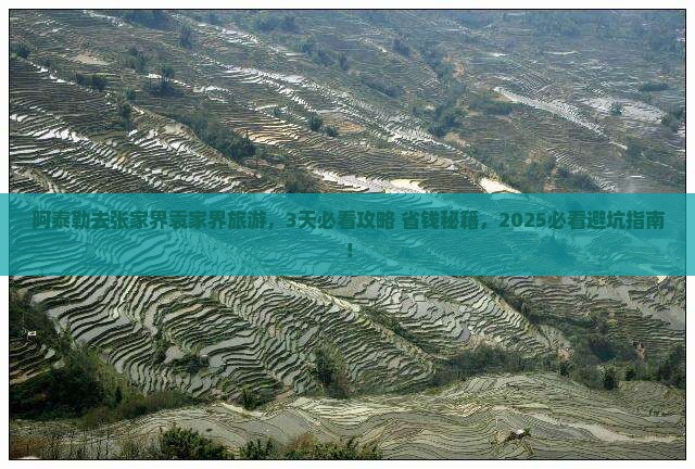 阿泰勒到张家界袁家界旅游