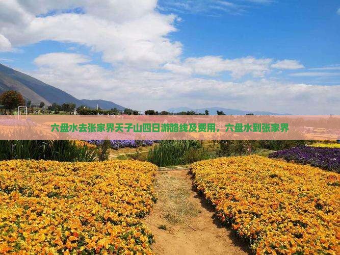六盘水去张家界天子山四日游
