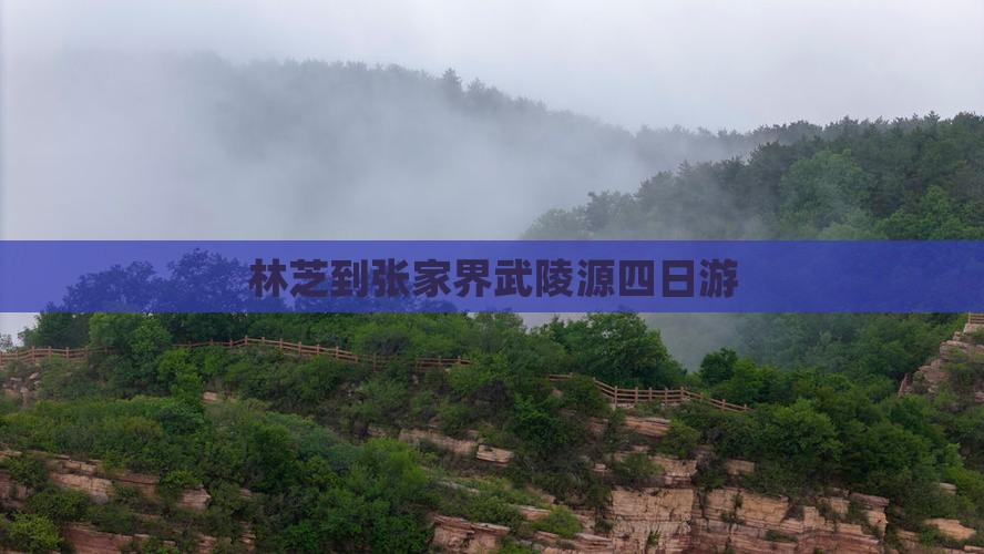 林芝到张家界武陵源四日游