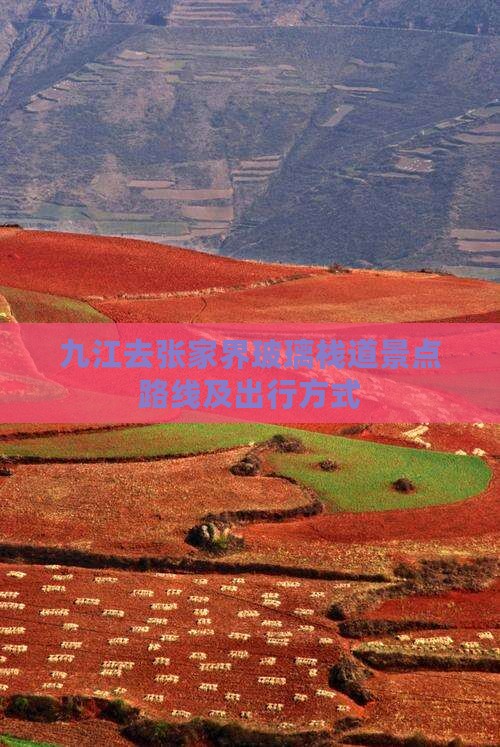 九江去张家界玻璃栈道景点 九江去张家界玻璃栈道景点