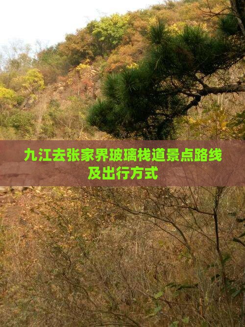 九江去张家界玻璃栈道景点 九江去张家界玻璃栈道景点