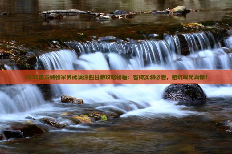 自贡到张家界武陵源四日游