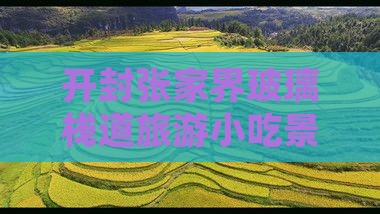 开封到张家界玻璃栈道旅游小吃