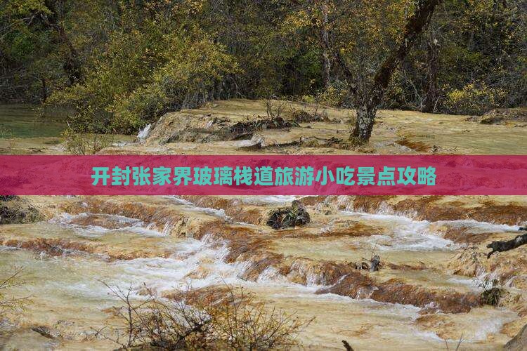 开封到张家界玻璃栈道旅游小吃