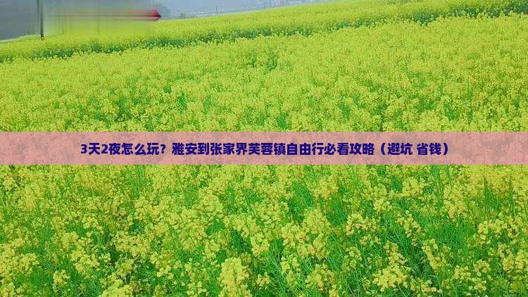 雅安到张家界芙蓉镇自由行