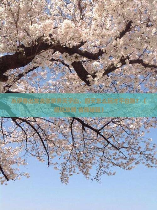 伊春去张家界天子山四日游
