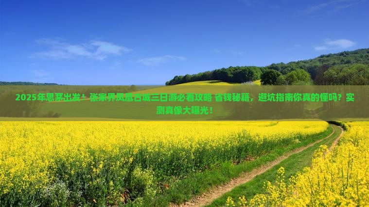 思茅去张家界凤凰古城三日游 思茅去张家界凤凰古城三日游