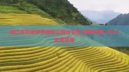 通辽市到张家界森林公园必去地