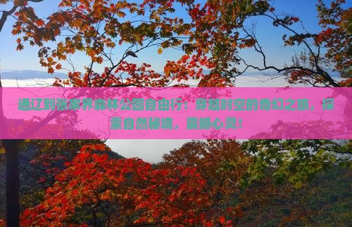 通辽到张家界森林公园自由行