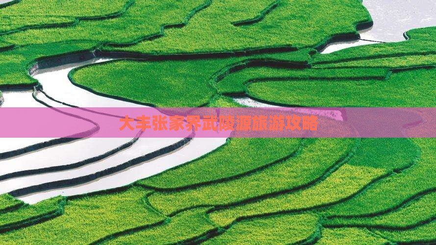 大丰去张家界武陵源旅游