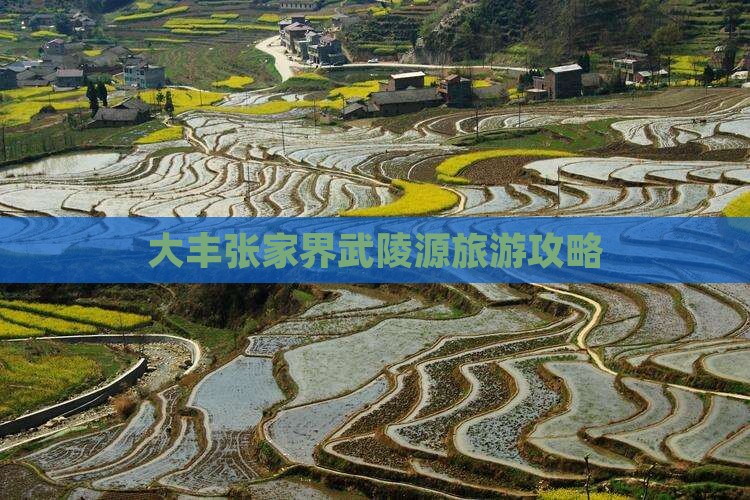 大丰去张家界武陵源旅游