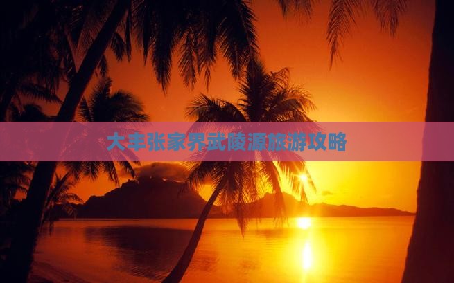 大丰去张家界武陵源旅游
