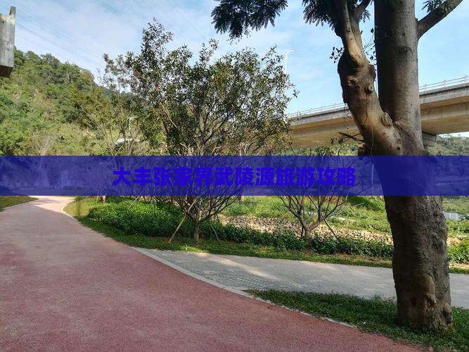 大丰去张家界武陵源旅游