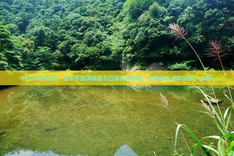 梅州去张家界玻璃栈道五日游