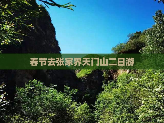 春节去张家界天门山二日游