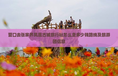 营口去张家界凤凰古城旅行社