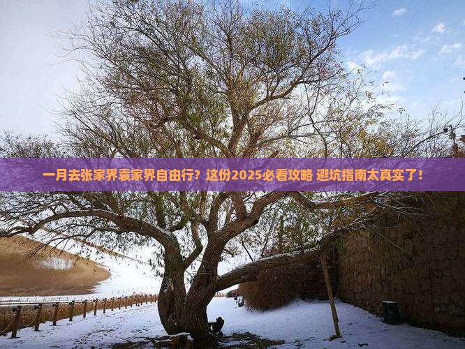 一月去张家界袁家界自由行