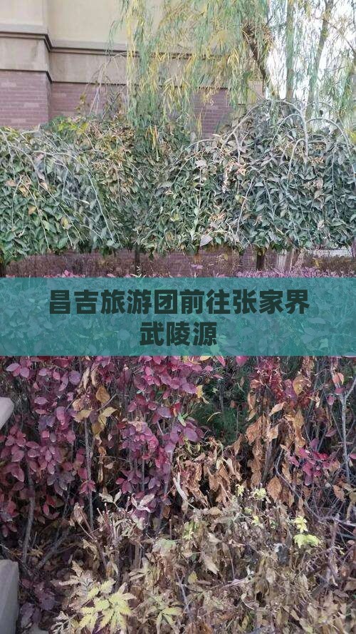 昌吉去张家界武陵源大型旅游团
