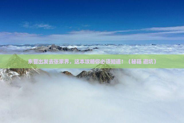 东营到张家界景点