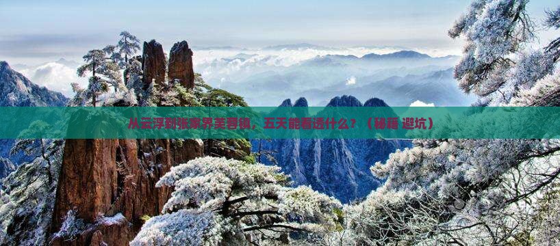 云浮到张家界芙蓉镇五日游