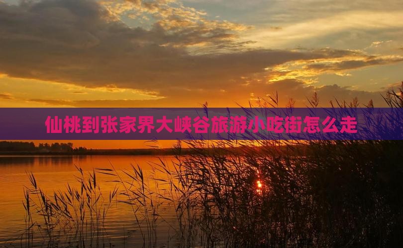 仙桃到张家界大峡谷旅游小吃
