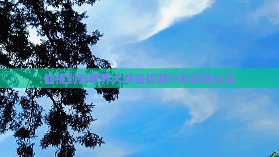 仙桃到张家界大峡谷旅游小吃
