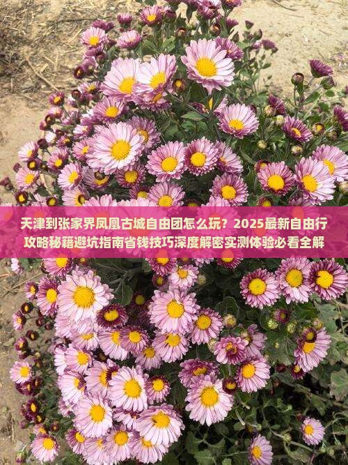 天津到张家界凤凰古城自由团
