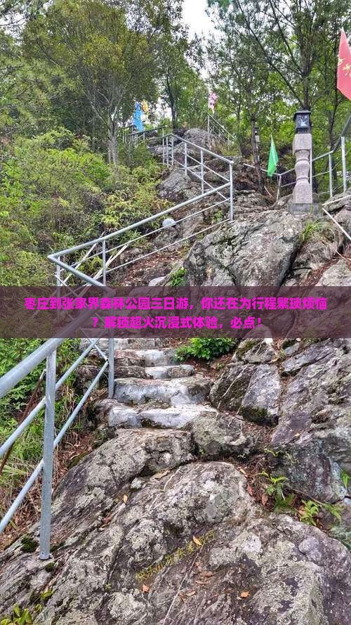 枣庄到张家界森林公园三日游