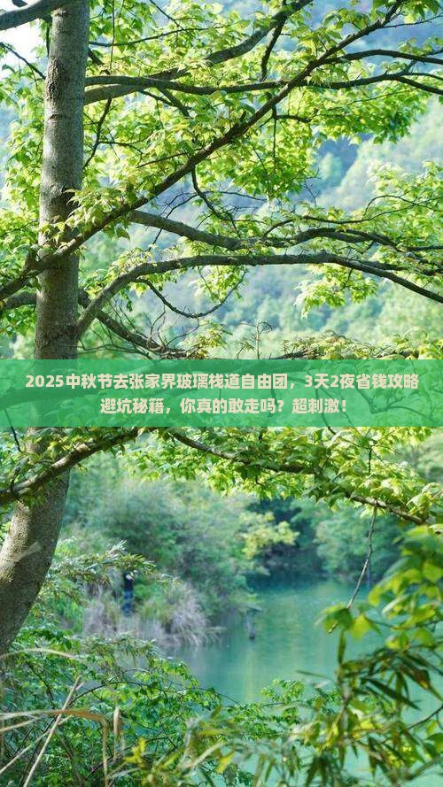 中秋节去张家界玻璃栈道自由团