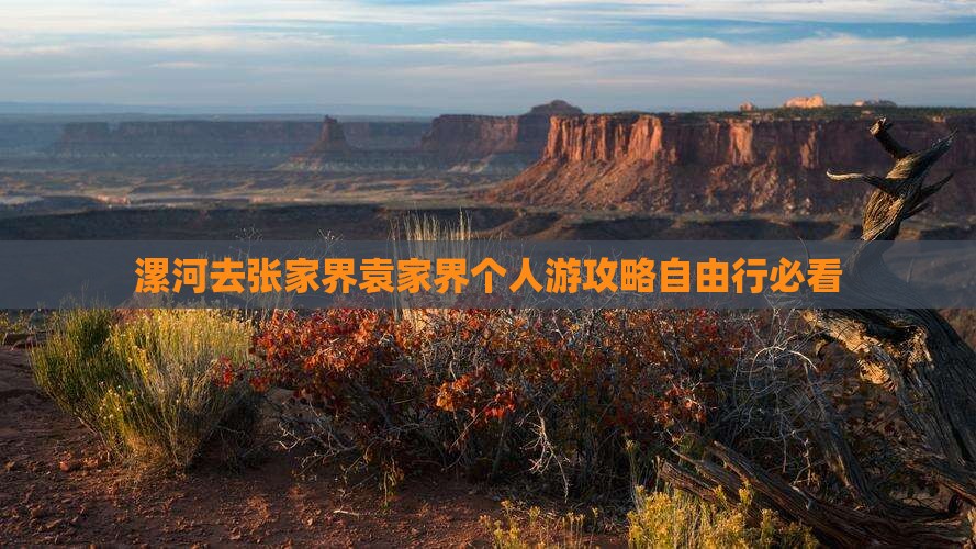 漯河去张家界袁家界个人游