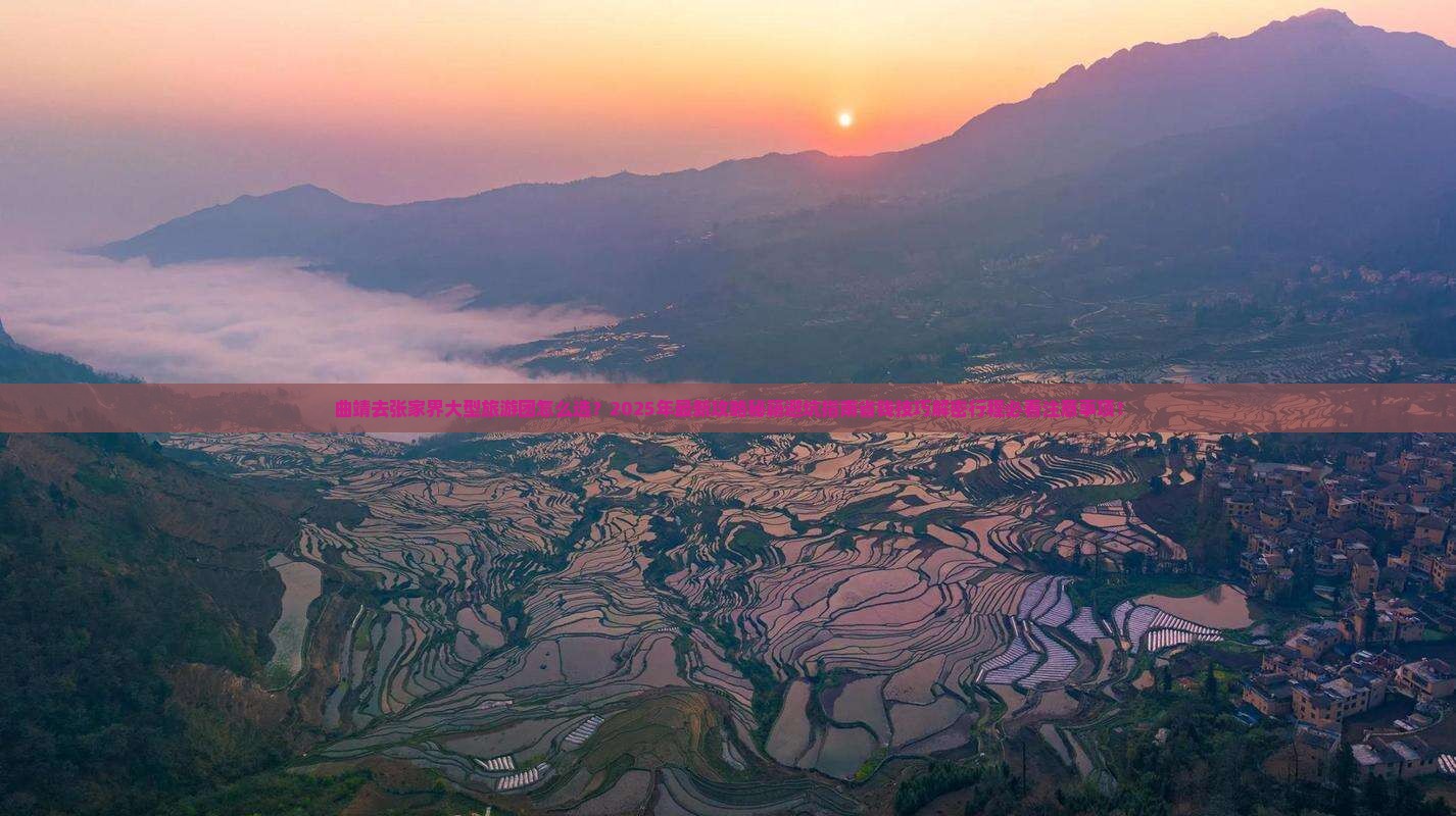 曲靖去张家界大型旅游团