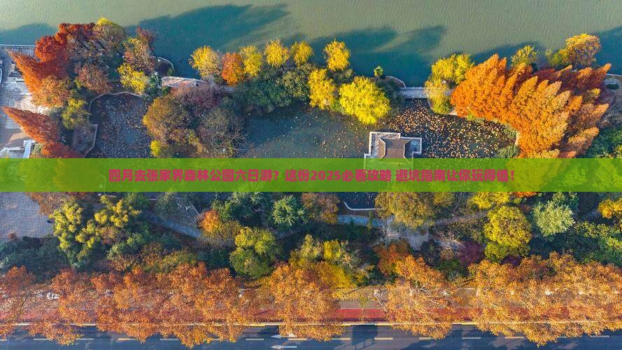 四月去张家界森林公园六日游