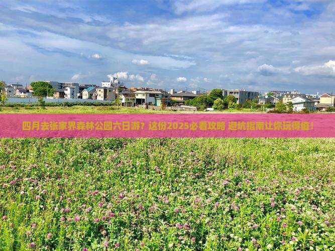 四月去张家界森林公园六日游