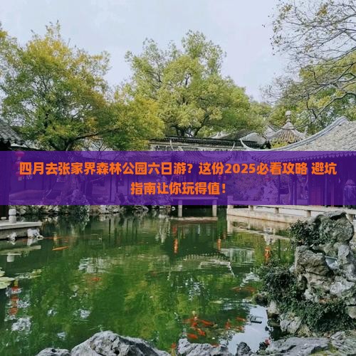 四月去张家界森林公园六日游