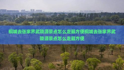 桐城去张家界武陵源景点