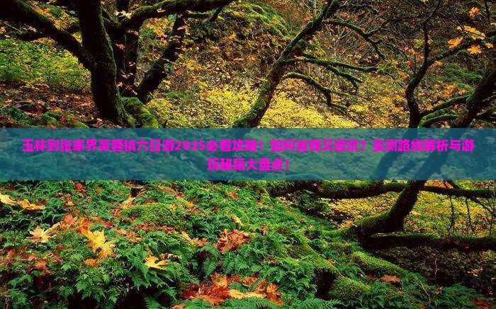 玉林到张家界芙蓉镇六日游