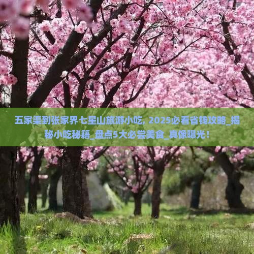 五家渠到张家界七星山旅游小吃