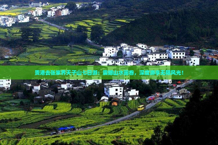 贵港去张家界天子山七日游