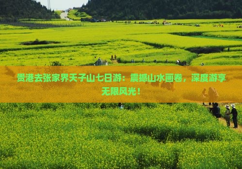 贵港去张家界天子山七日游