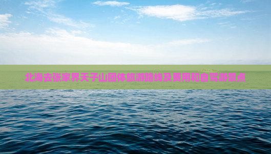 北海去张家界天子山团体旅游