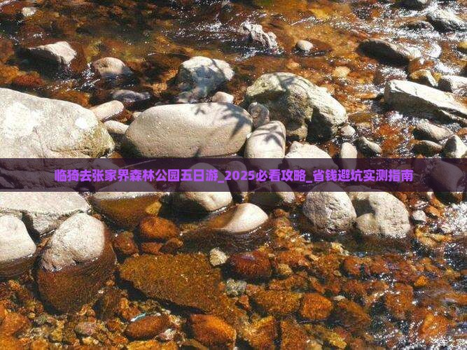 临猗去张家界森林公园五日游